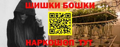 ECSTASY Новодвинск