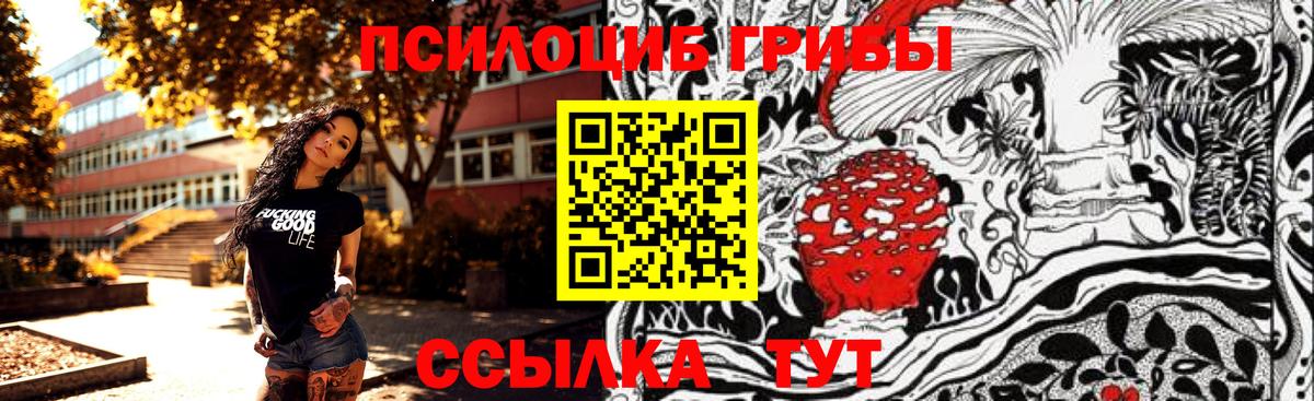 Галлюциногенные грибы мицелий Саранск